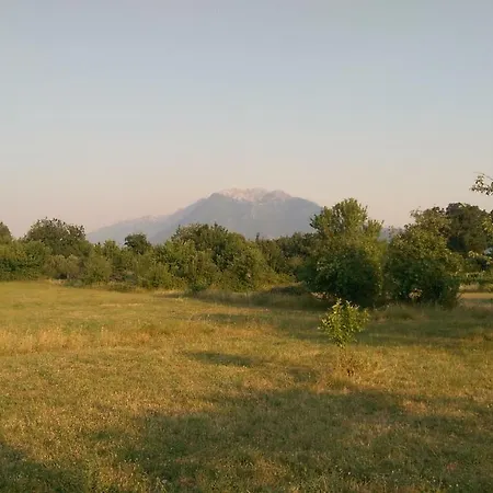 Holiday House Ruzic *